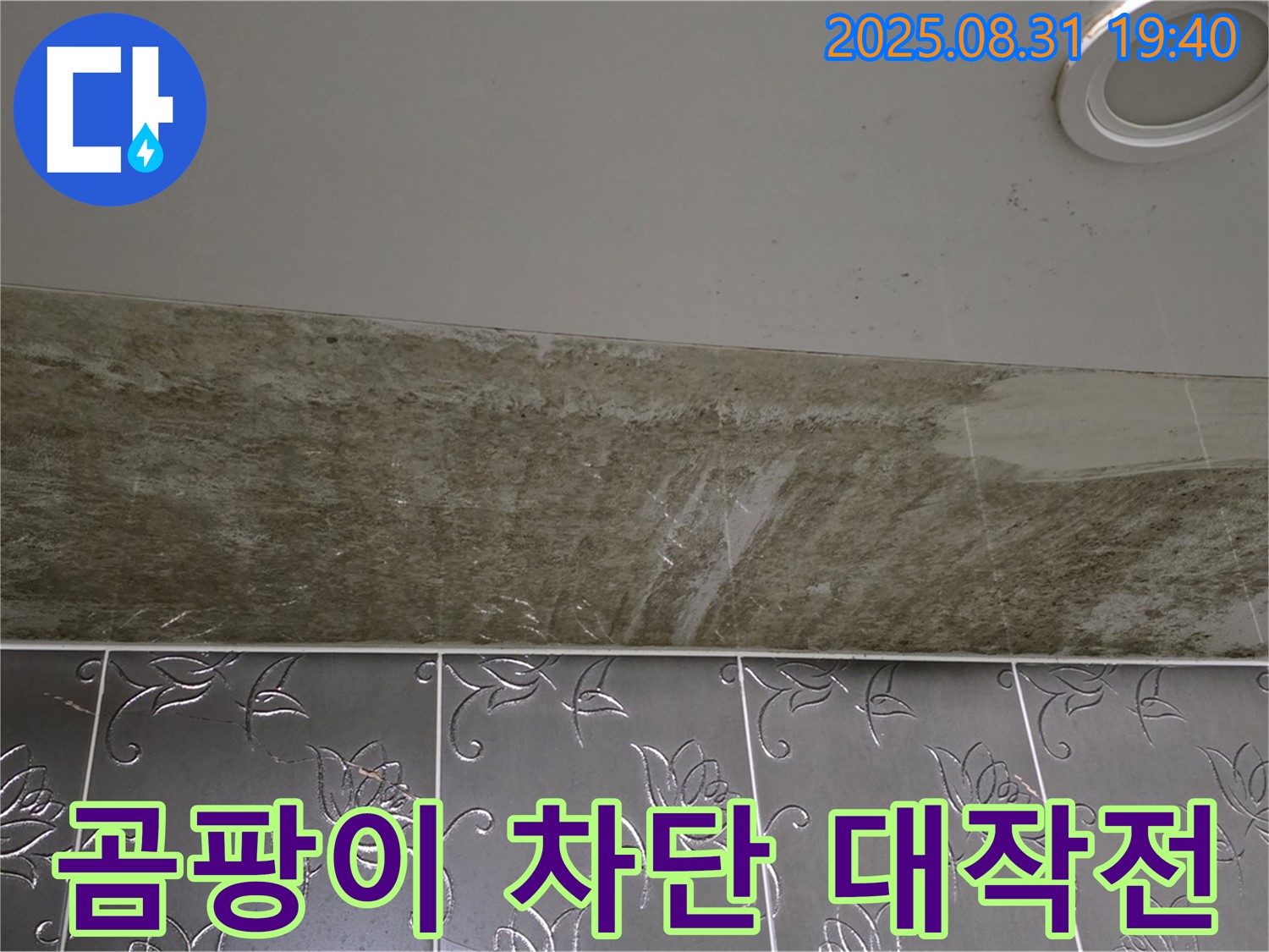 분당구 야탑동 곰팡이 소굴 된 욕실 천장 누수 - 완벽하게 차단 대작전 성공!