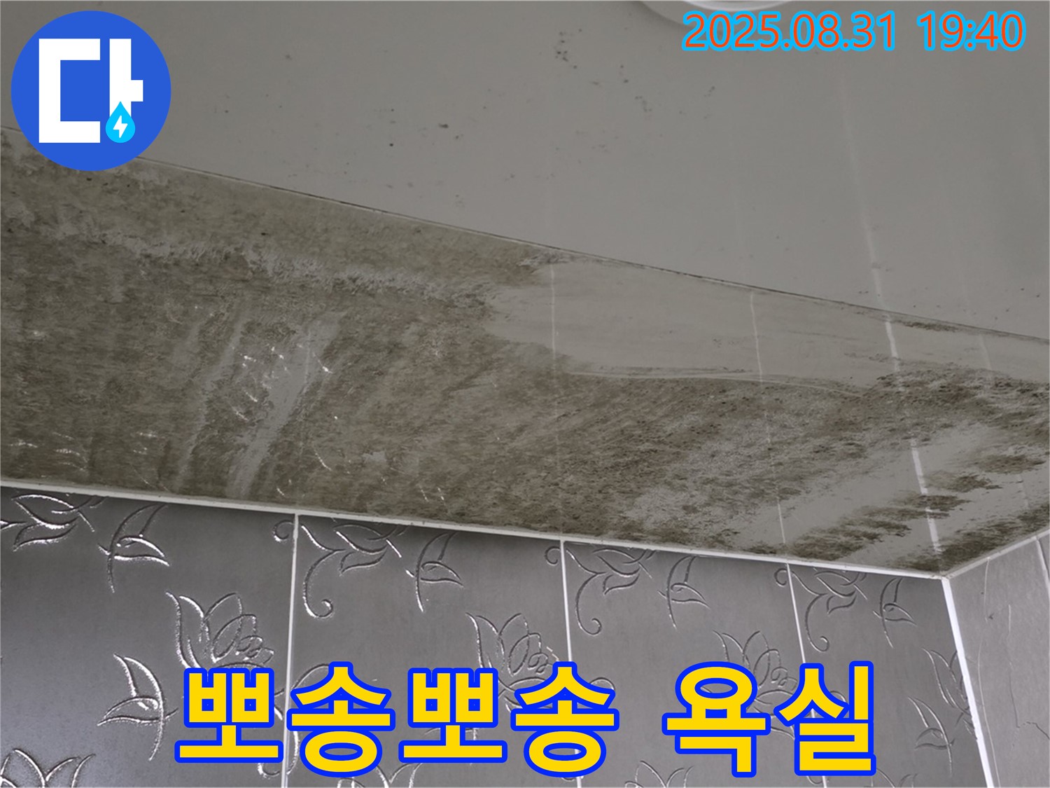 분당구 운중동 - 곰팡이 늪 탈출 - 뽀송뽀송 욕실