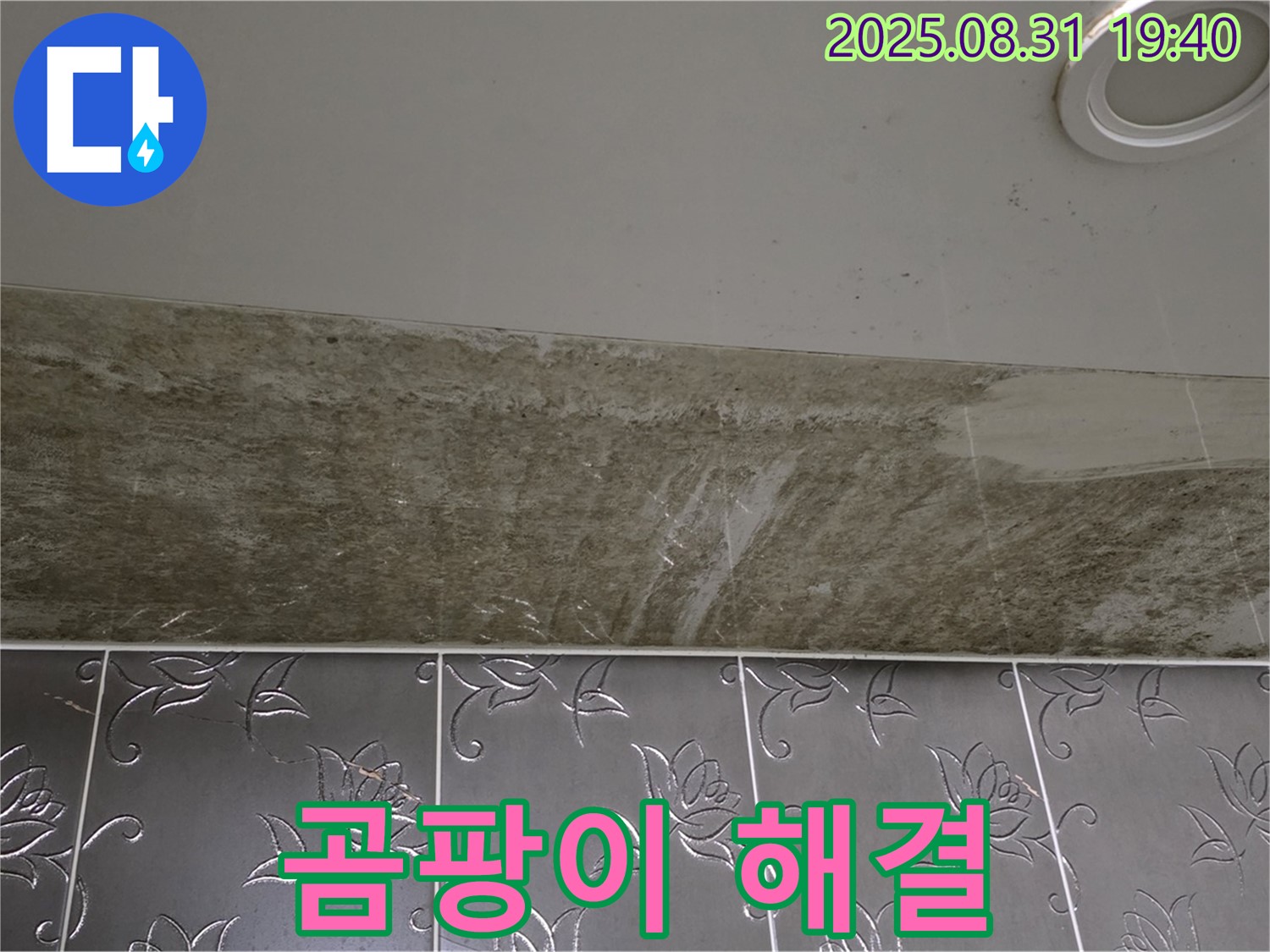 분당구 율동 욕실 천장 누수 - 곰팡이 뒤덮인 욕실, 천장 누수 완벽 해결!