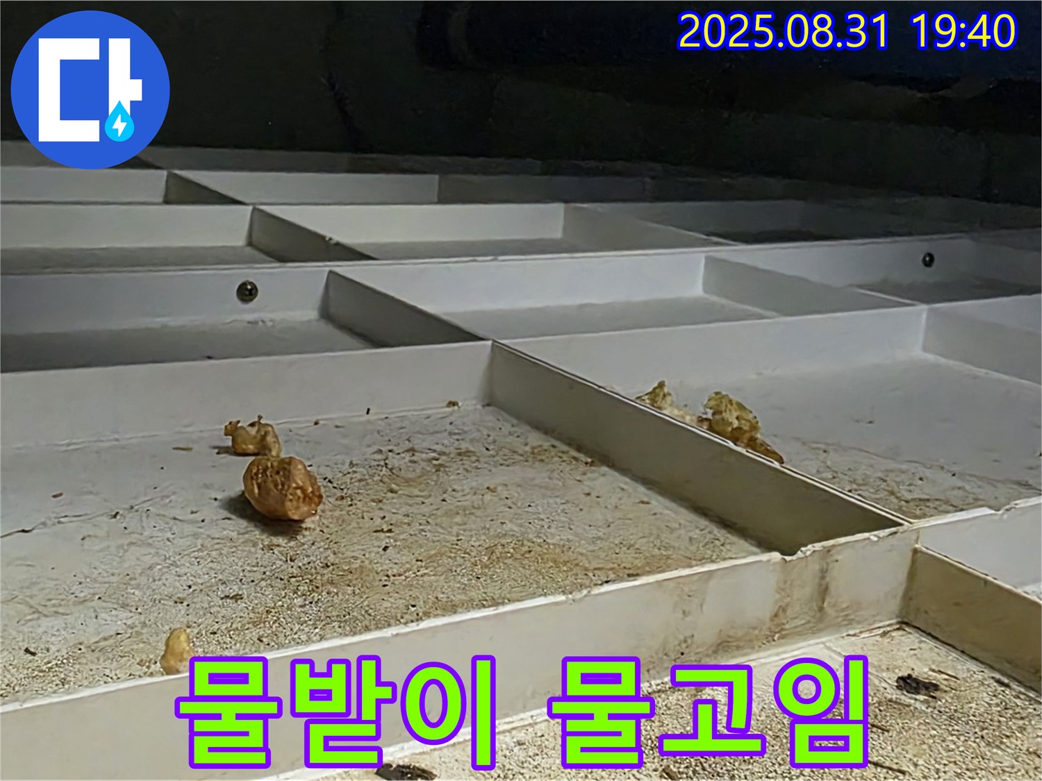 분당구 정자동 121 누수 - 천장 물받이, 물고임 현상, 역류 가능성
