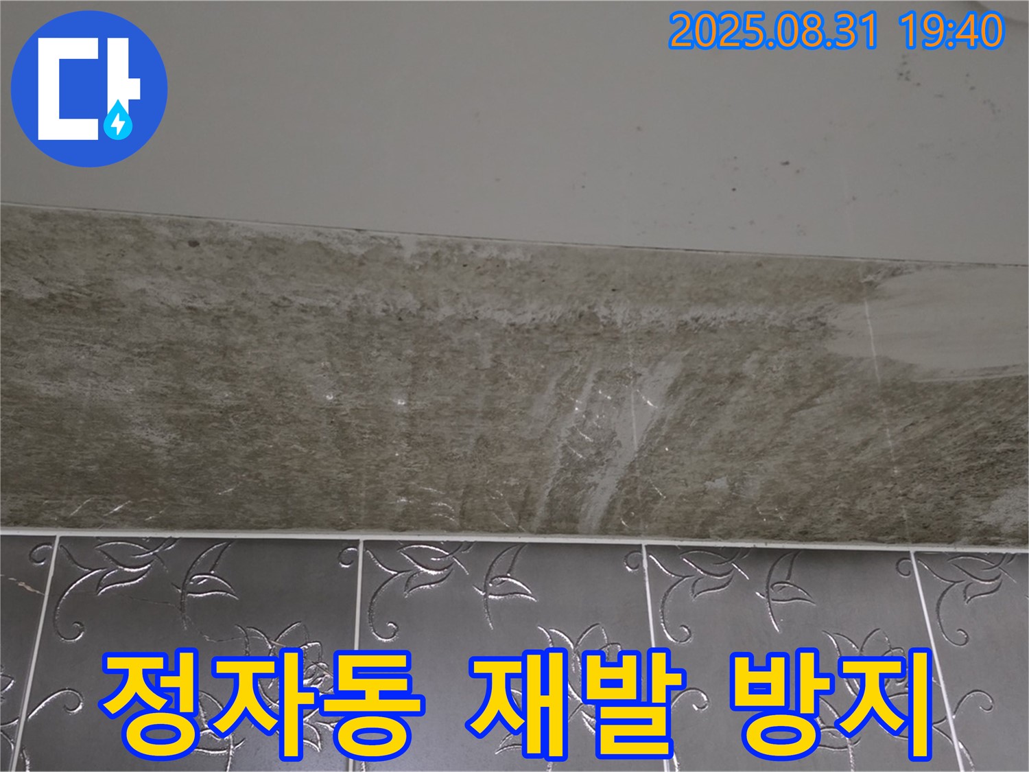 분당구 정자동 욕실 곰팡이 - 재발 방지까지 책임!