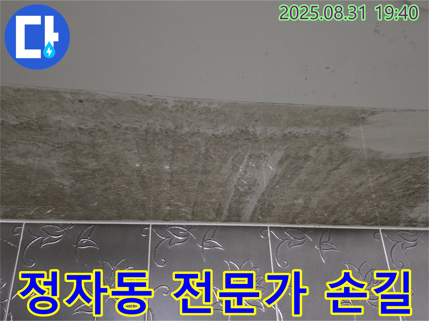 분당구 정자동 욕실 곰팡이 - 전문가의 손길로 깨끗하게!