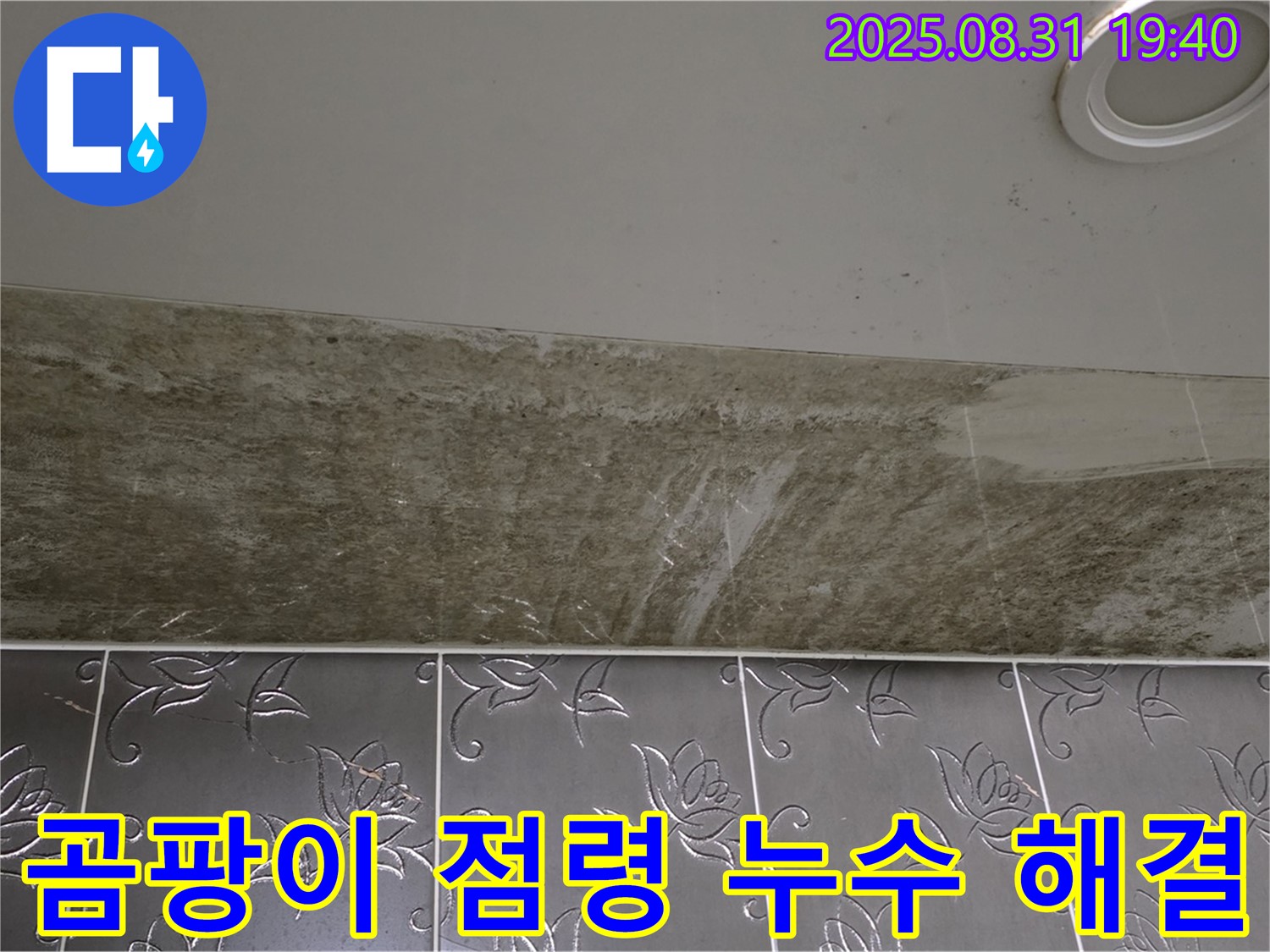 분당구 정자동 욕실 천장 누수 - 곰팡이 점령된 욕실, 천장 누수 완벽 해결!