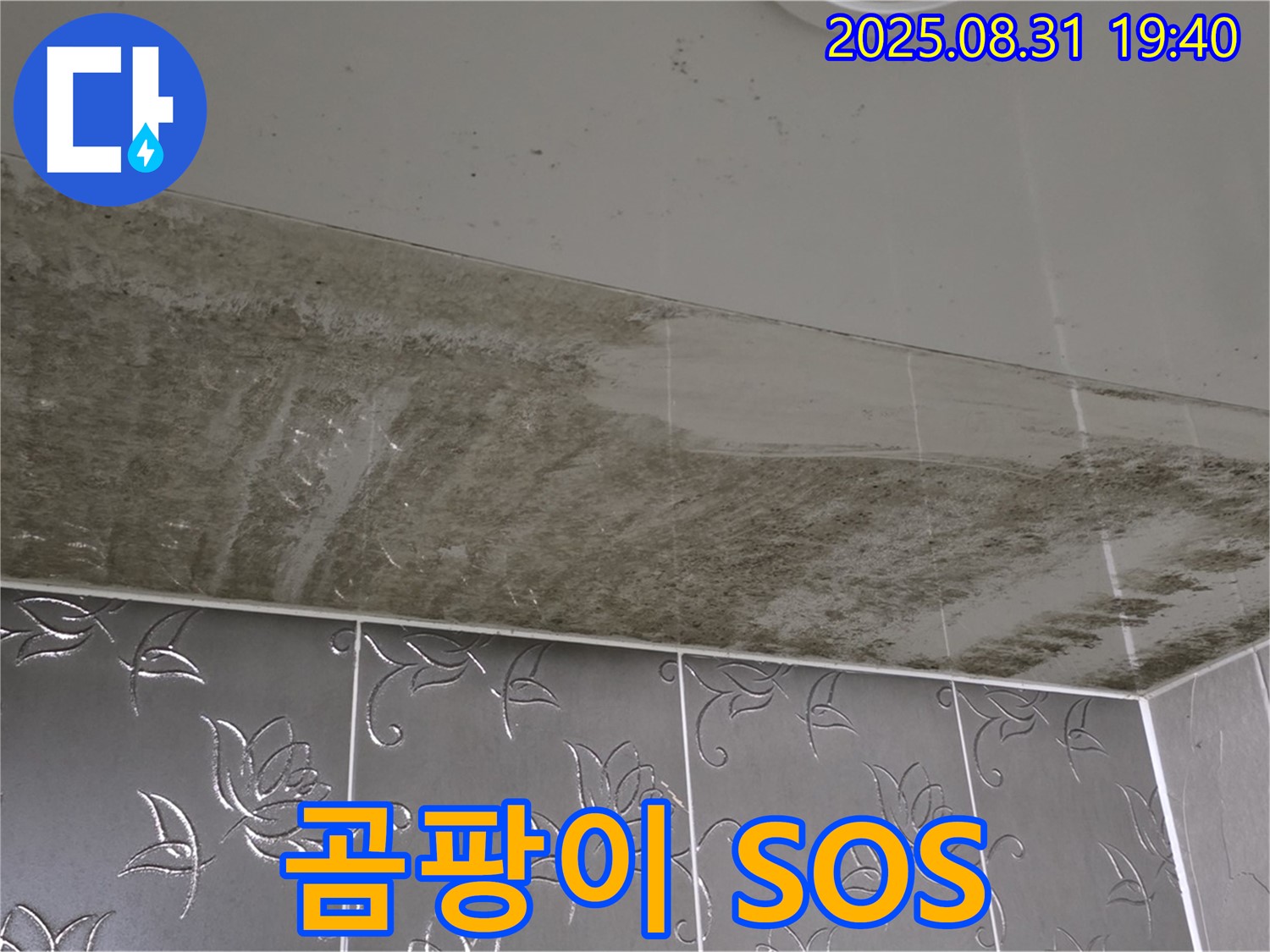 산운로 - 곰팡이 긴급 SOS - 욕실 완벽 되살리기