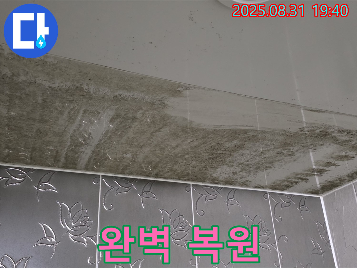 산운로 - 곰팡이 뒤덮인 욕실 - 완벽 복원, 쾌적한 공간으로