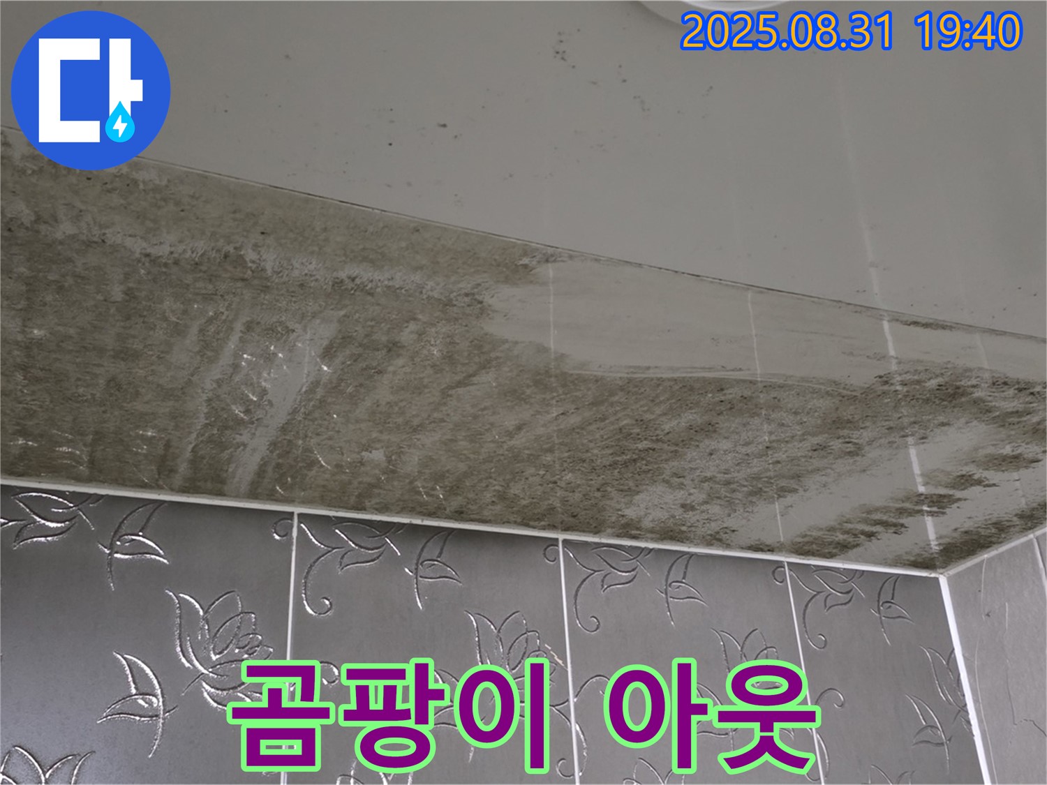 산운로 - 곰팡이 아웃 - 깨끗해진 욕실 천장