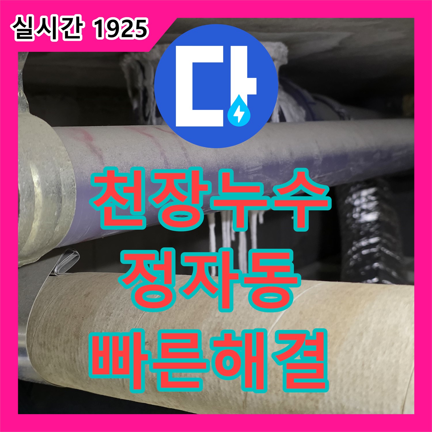 산운로 누수탐지전문가, 정자동 천장 누수, 건물 손상 막는 빠른 해결