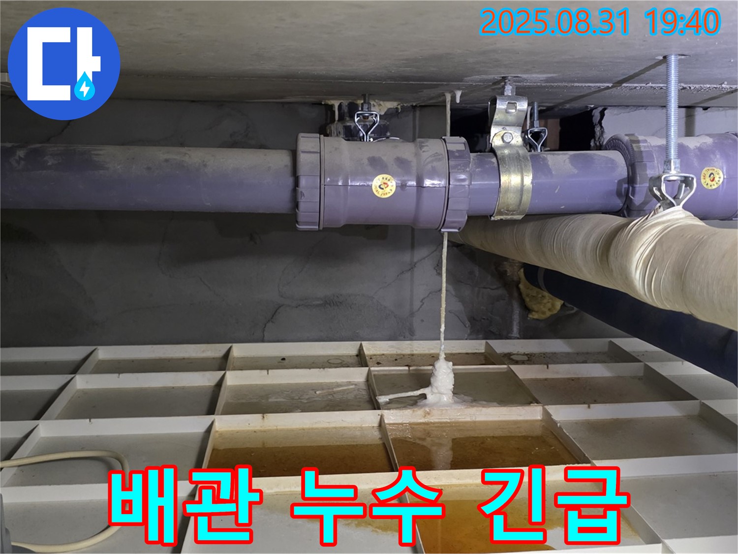 산운마을 누수 - 낡은 배관에서 물이 뚝뚝, 긴급 누수!