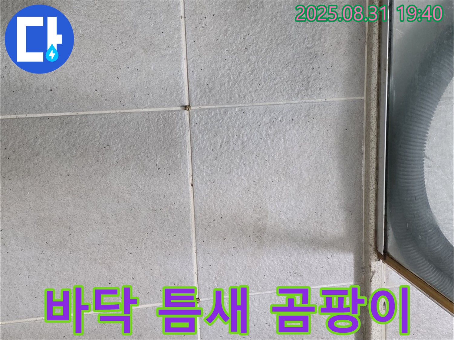 샤워부스 바닥 틈새 곰팡이 - 누수 해결과 곰팡이 제거를 한 번에!