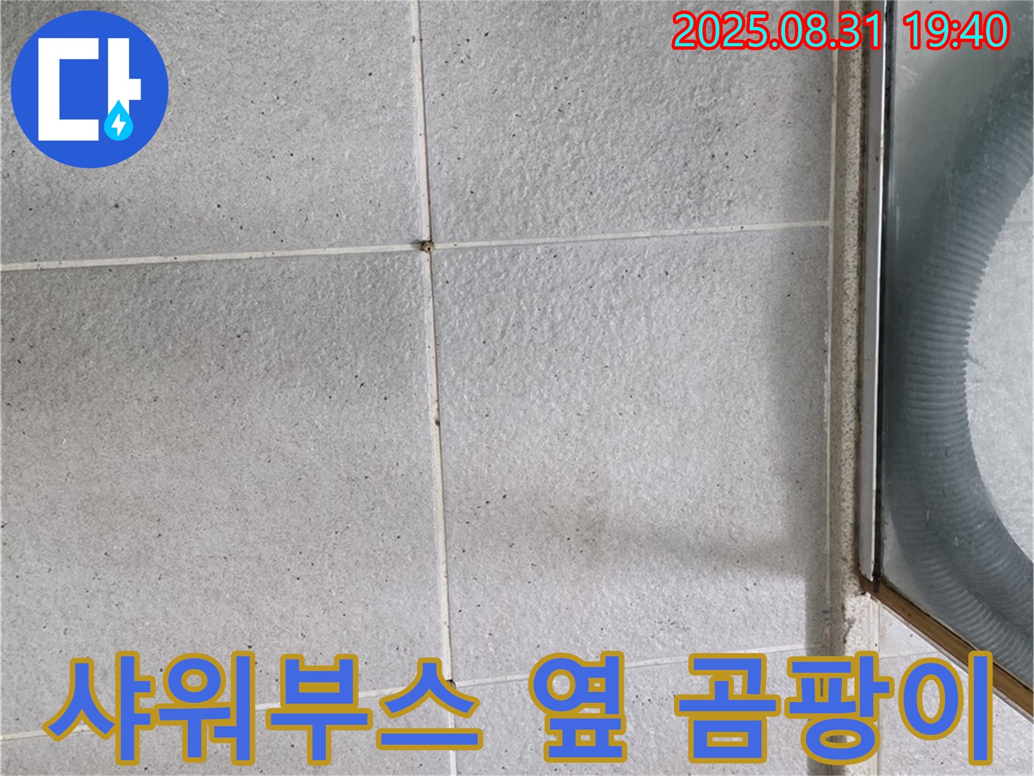 샤워부스 옆 곰팡이 - 누수와 곰팡이, 한 번에 해결!