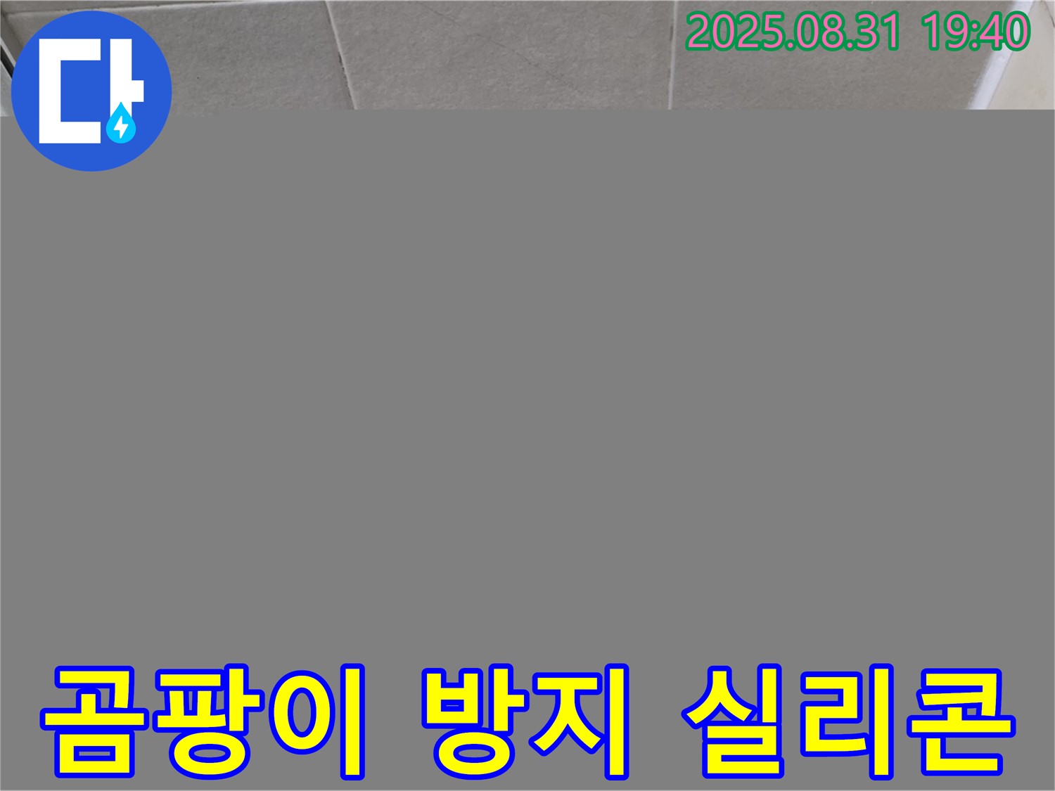 성남 분당 산운동 욕실 실리콘 시공 - 곰팡이 방지 실리콘 사용은 필수입니다!