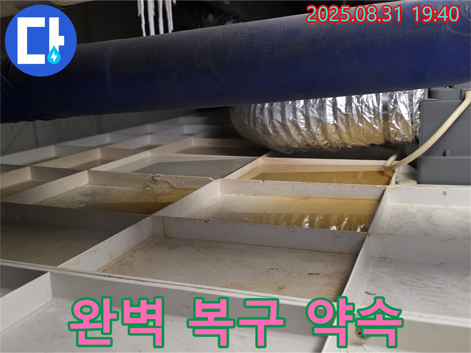 성남 분당 산운로 건물 천장 누수 - 누수 해결 후 완벽한 복구 작업 약속