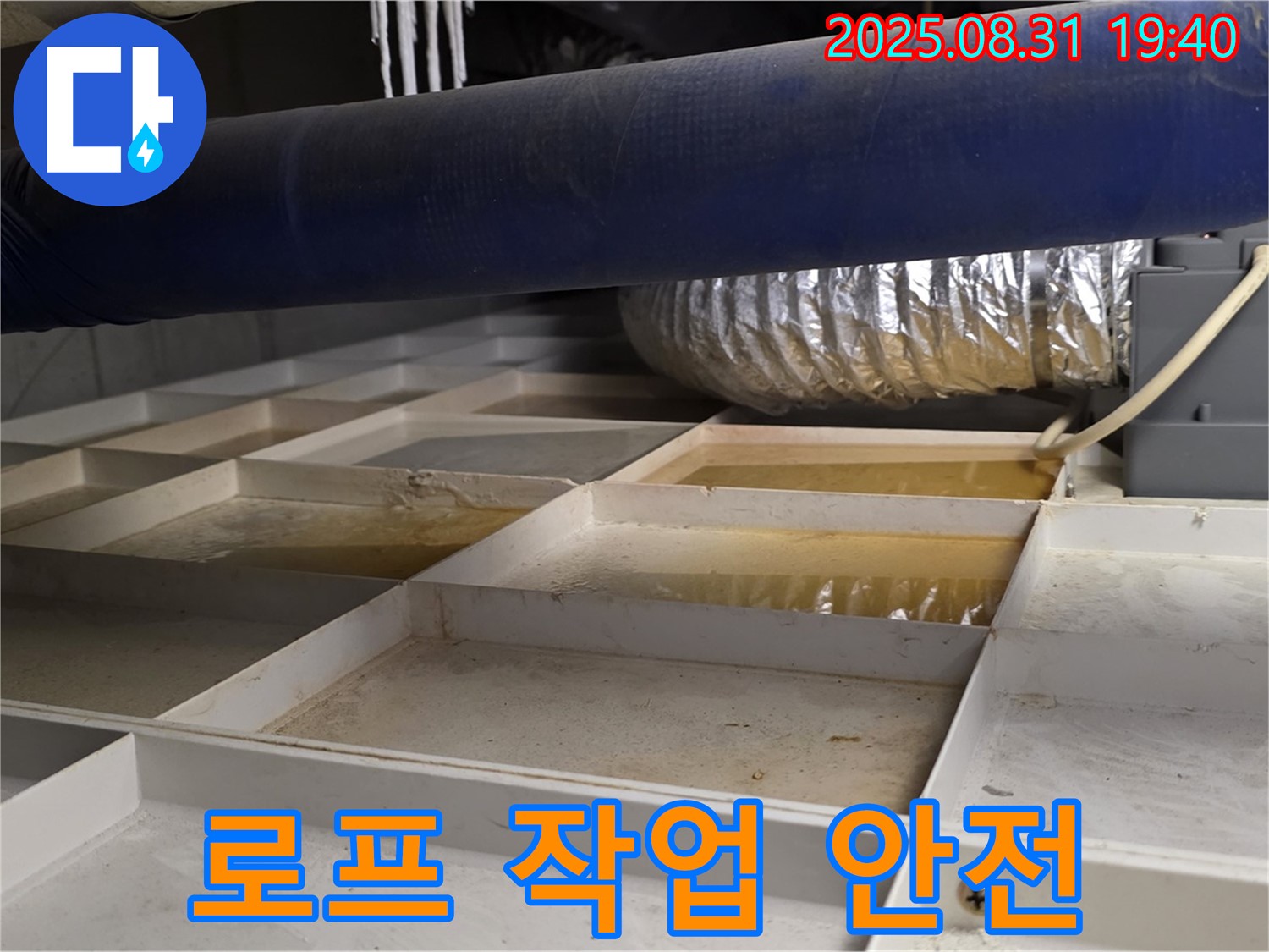 성남 분당 판교동 건물 외벽 누수 - 고층 건물 로프 작업 - 안전 최우선