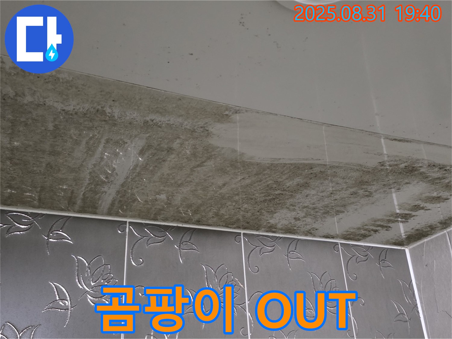 운중동 - 곰팡이 OUT - 새하얗게 되살아난 욕실 천장