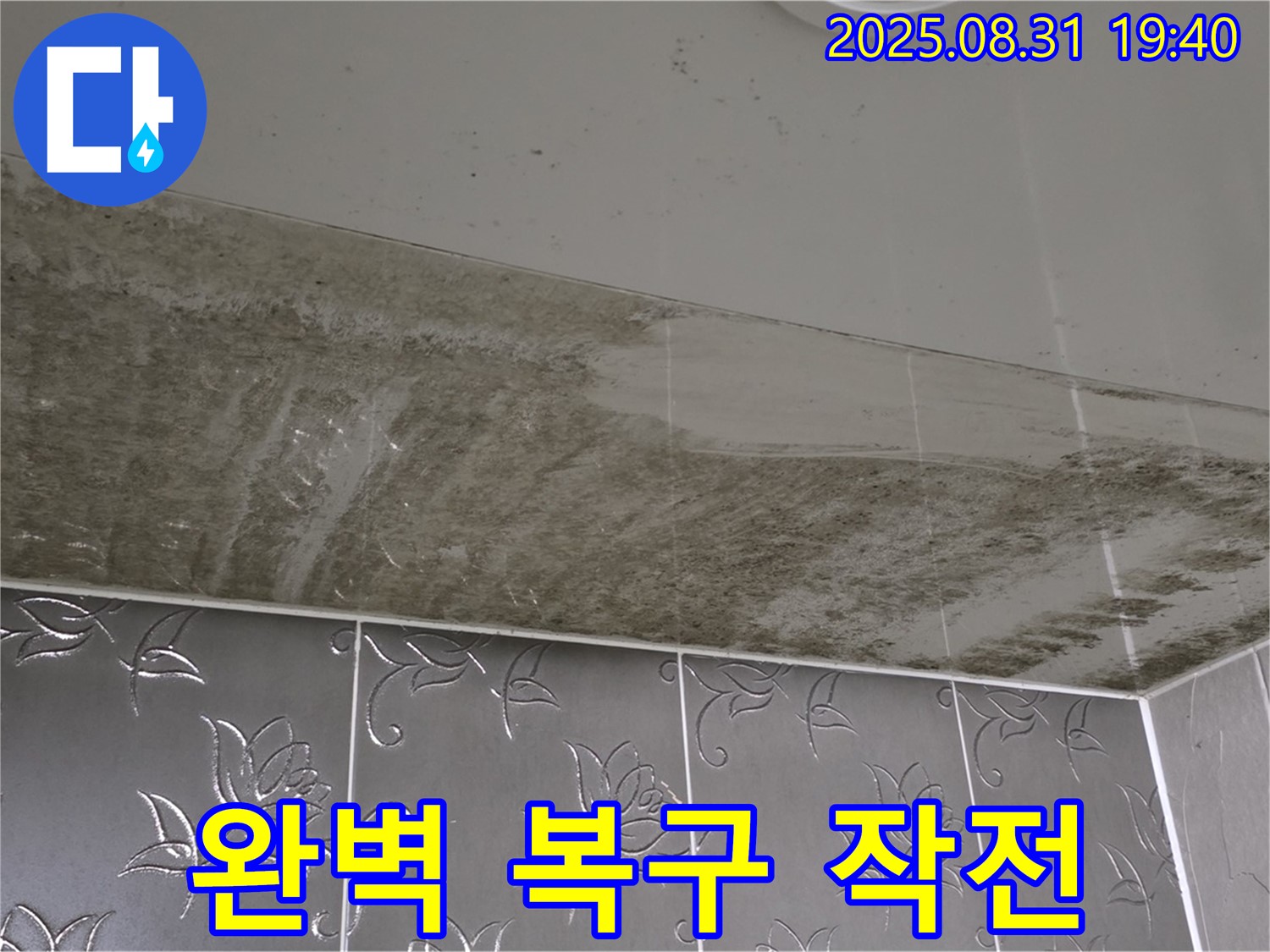 운중동 - 곰팡이 욕실 천장 - 완벽 복구 대작전