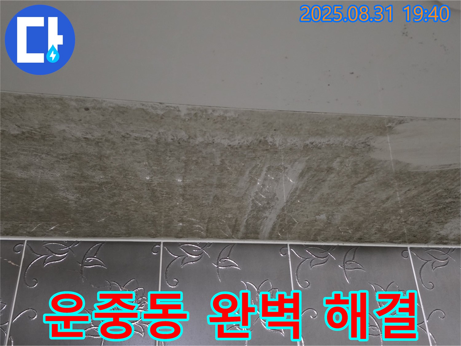 운중동 욕실 누수 - 곰팡이 완벽 해결 보장!