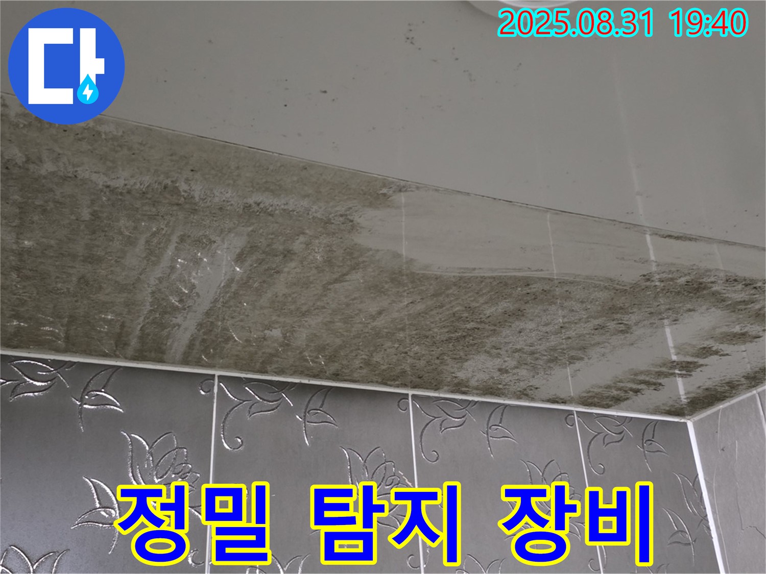 정밀 탐지 장비 - 첨단 장비로 정확한 누수 위치 파악