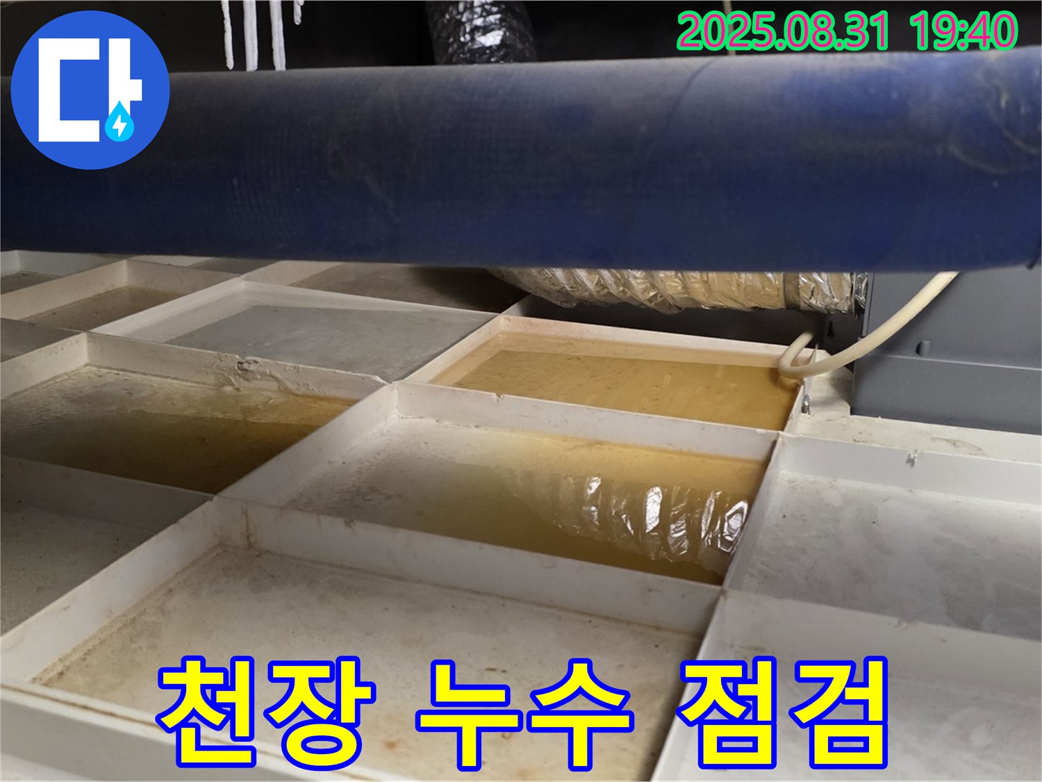 천장 누수 점검 - 꼼꼼하게 누수 원인 분석 중