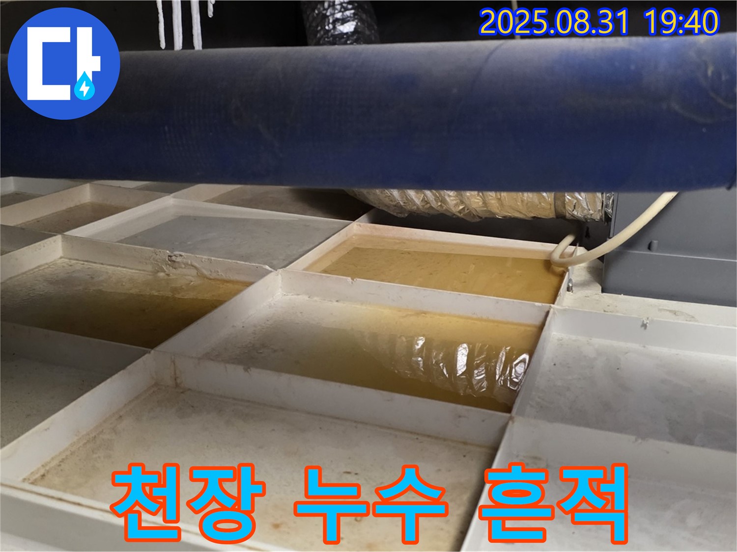 천장 누수 흔적 - 트레이에 고인 물 - 누수 의심