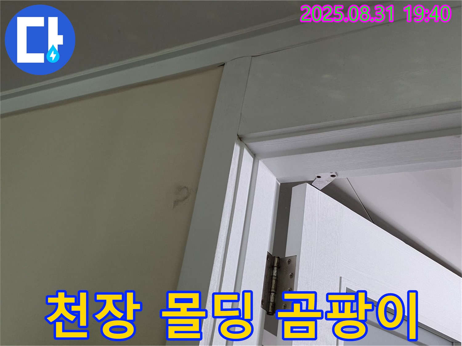 천장 몰딩 곰팡이 - 천장 몰딩에 곰팡이가 발생했습니다.