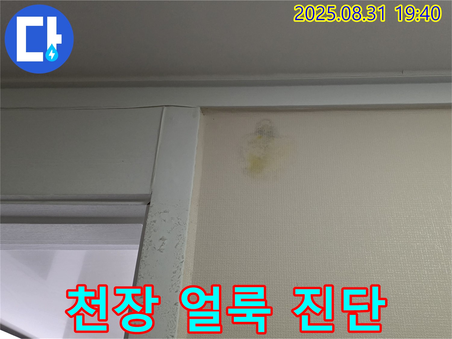 천장 얼룩 진단 - 성남 분당 산운동 윗집 누수탐지 - 꼼꼼한 진단