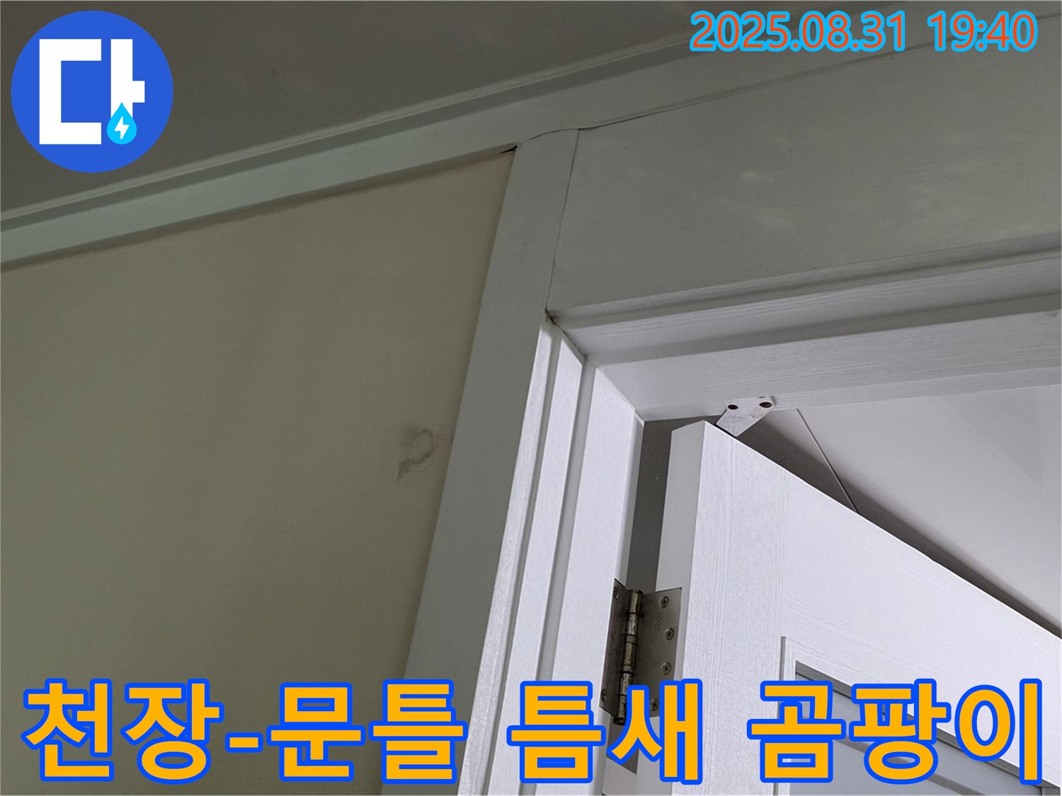 천장과 문틀 틈새 곰팡이 - 천장과 문틀 틈새 사이에 곰팡이가 피어 있습니다.