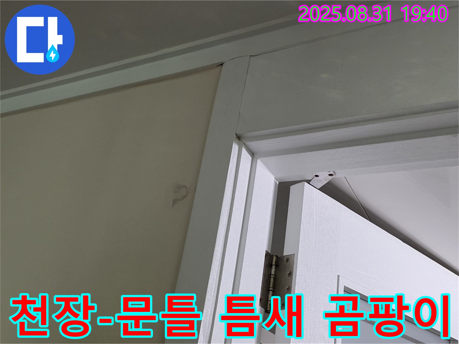 천장과 문틀 틈새 곰팡이 - 천장과 문틀 틈새에 곰팡이가 발생했습니다.
