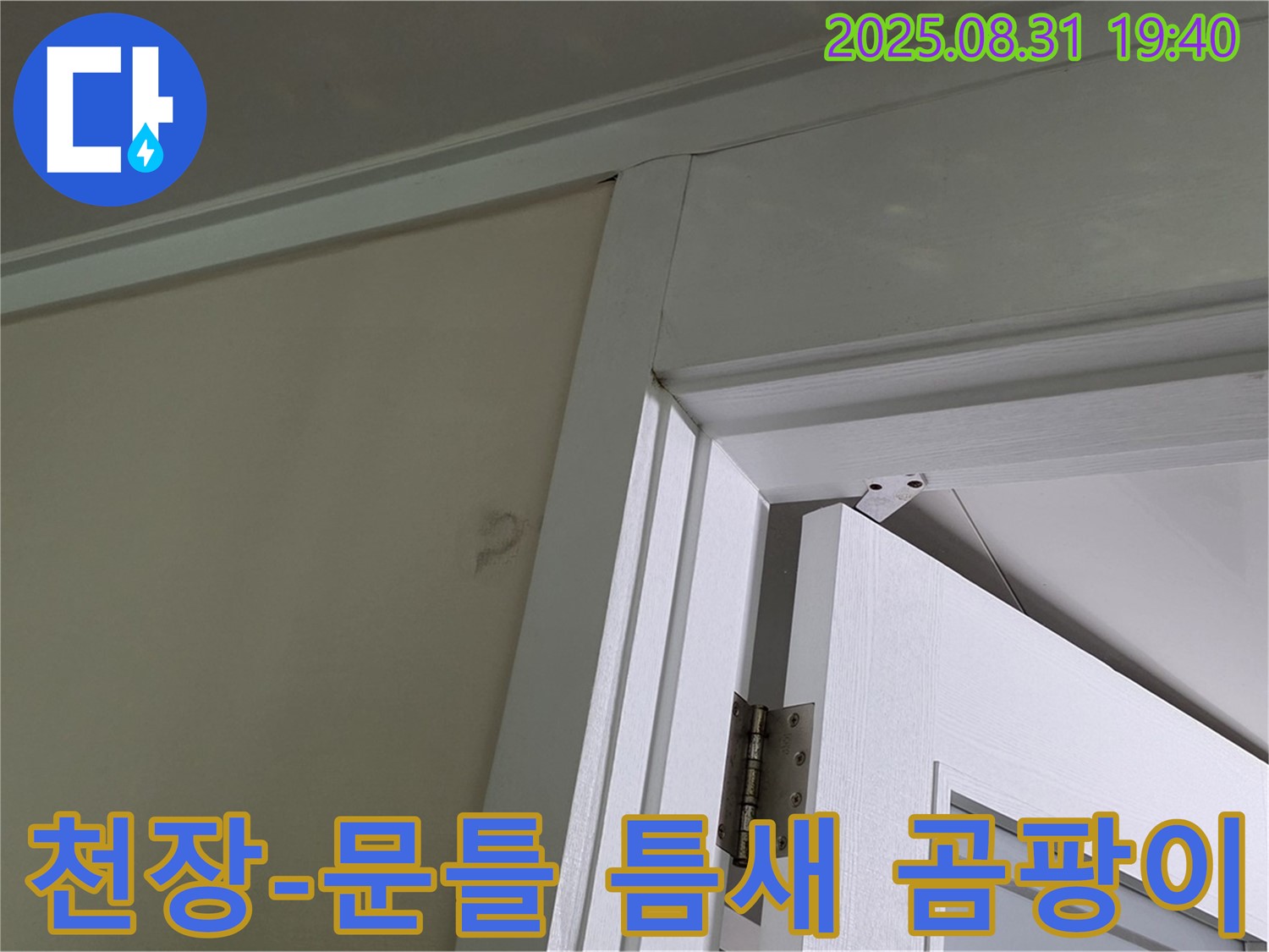 천장과 문틀 틈새 곰팡이 - 천장과 문틀 틈새에 곰팡이가 발생했습니다.