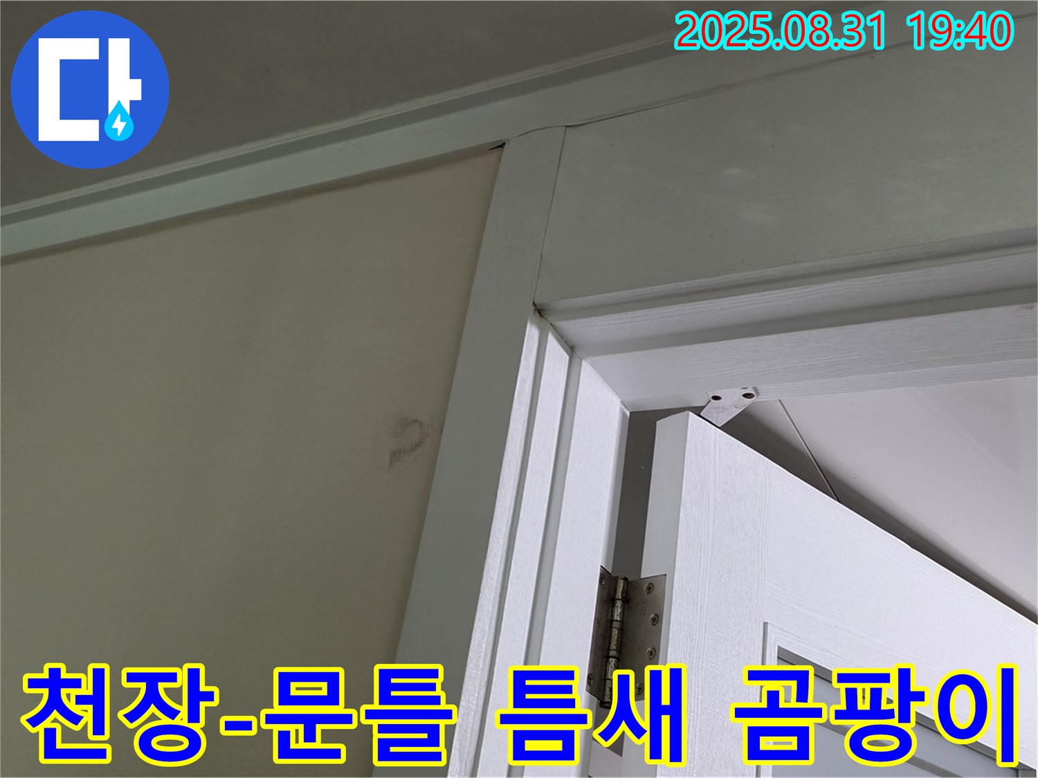 천장과 문틀 틈새 곰팡이 - 천장과 문틀 틈새에 곰팡이가 발생했습니다.