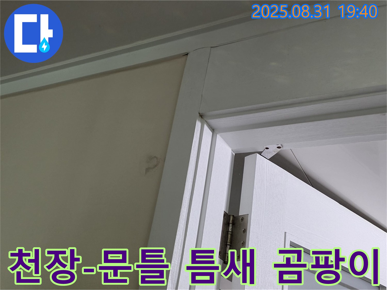천장과 문틀 틈새 곰팡이 - 천장과 문틀 틈새에 곰팡이가 발생했습니다.