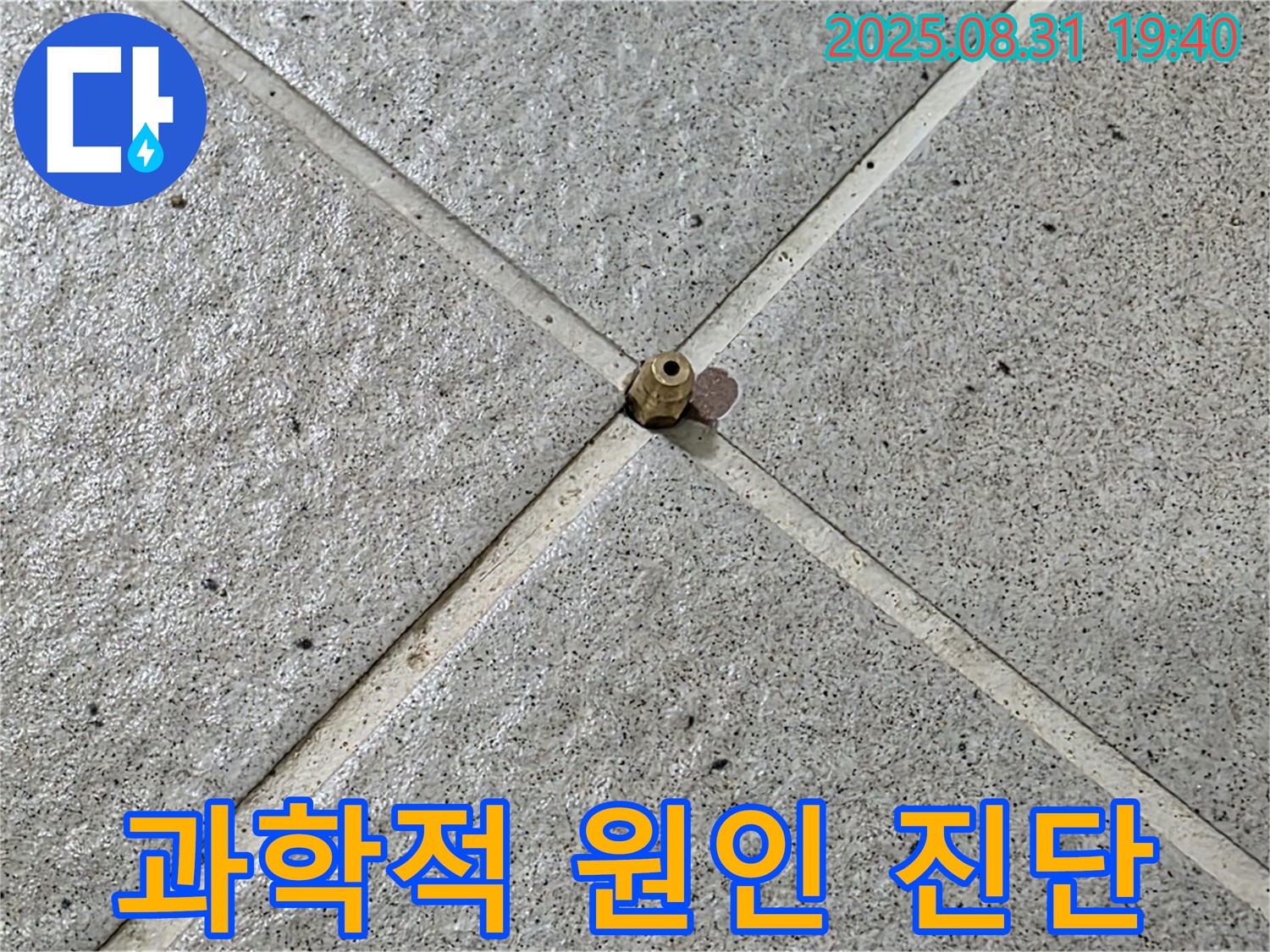 타일 틈새 - 과학적인 분석으로 원인 진단
