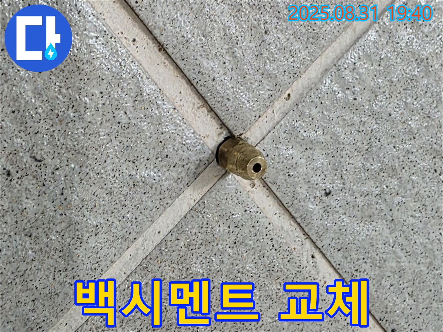 타일 틈새 백시멘트 교체 - 곰팡이 싹! 깨끗한 욕실로 변신!