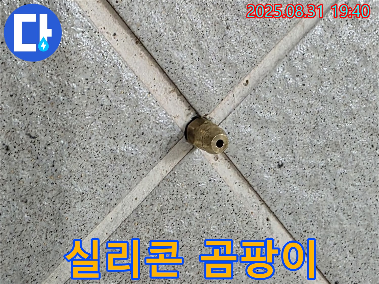 타일 틈새 실리콘 - 곰팡이의 온상이 될 수 있습니다!