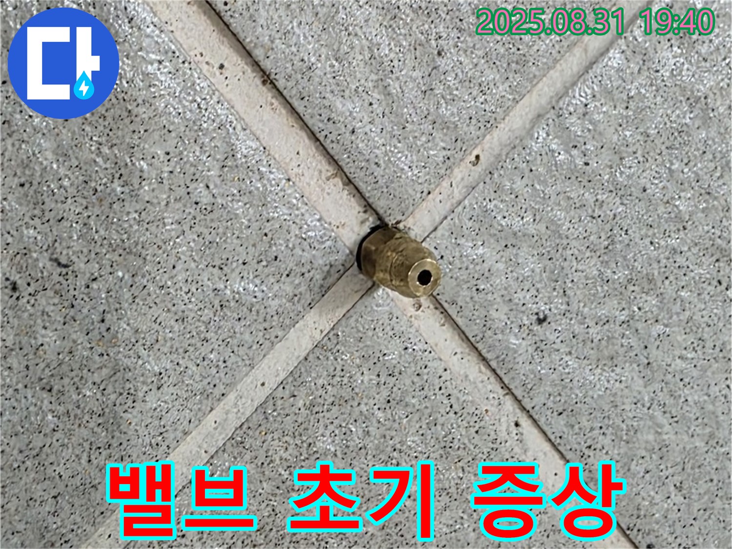 타일 틈새에 박힌 밸브 - 누수 초기 증상일 수 있습니다.