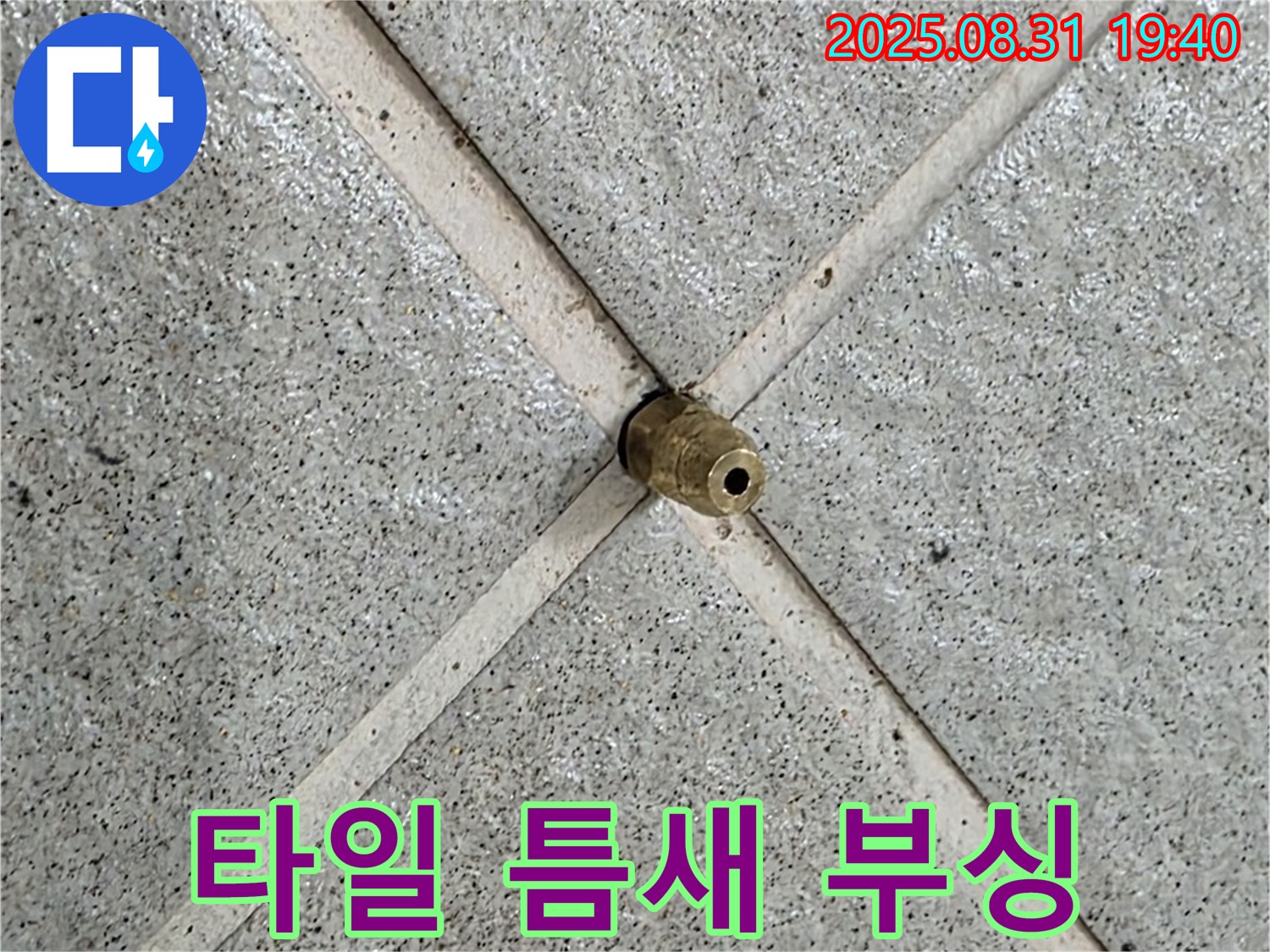 타일 틈새에 박힌 부싱 - 누수 신호탄일 수 있습니다.