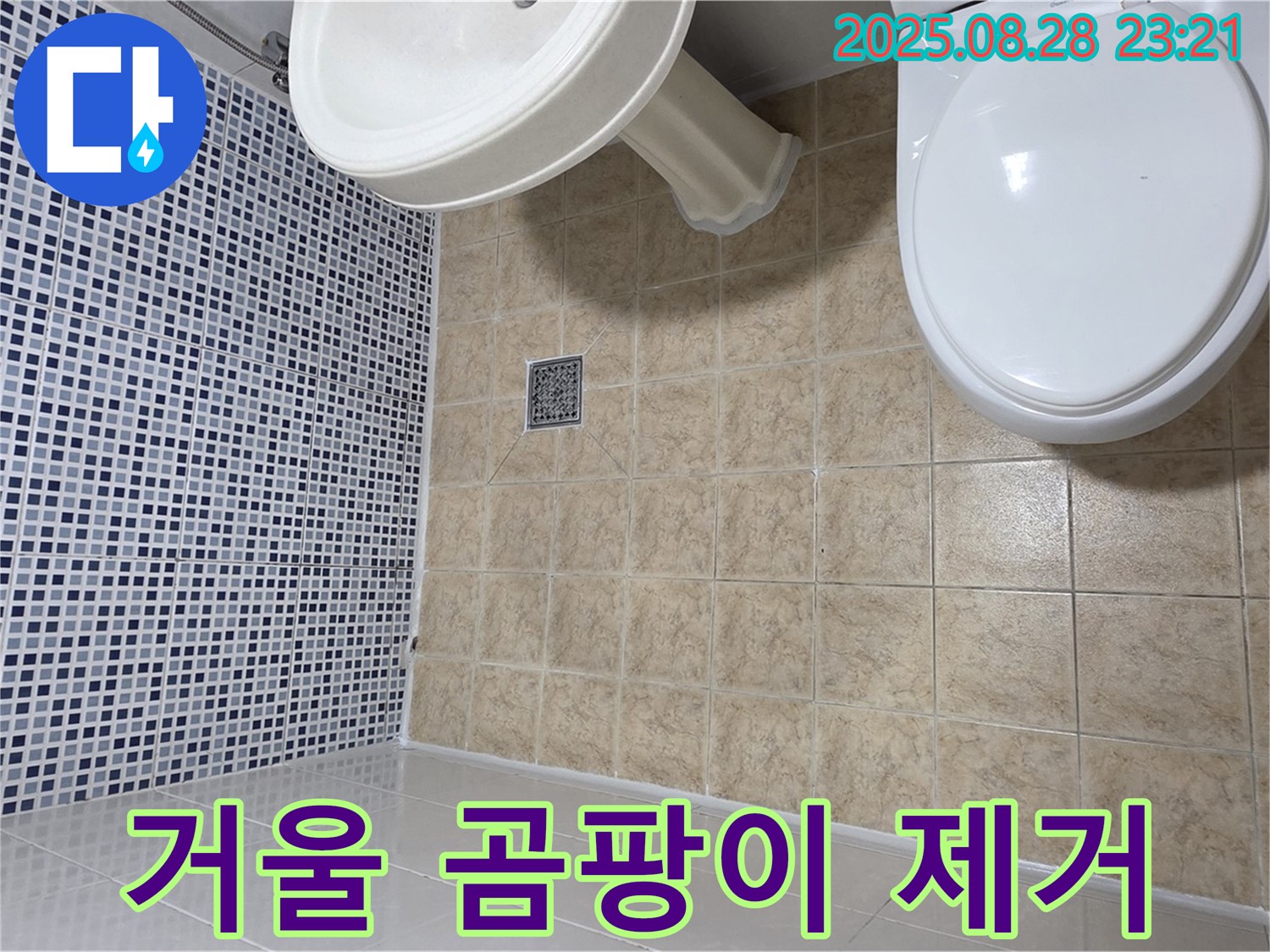 거울 곰팡이 - 깨끗하고 맑은 거울로