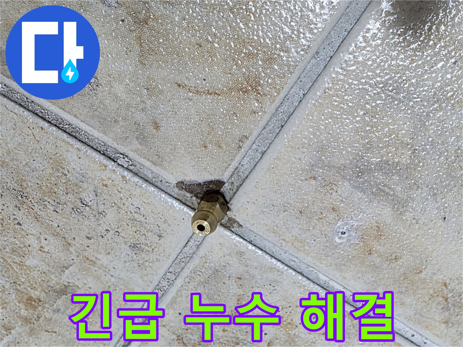 긴급 누수 해결 - 즉시 방문