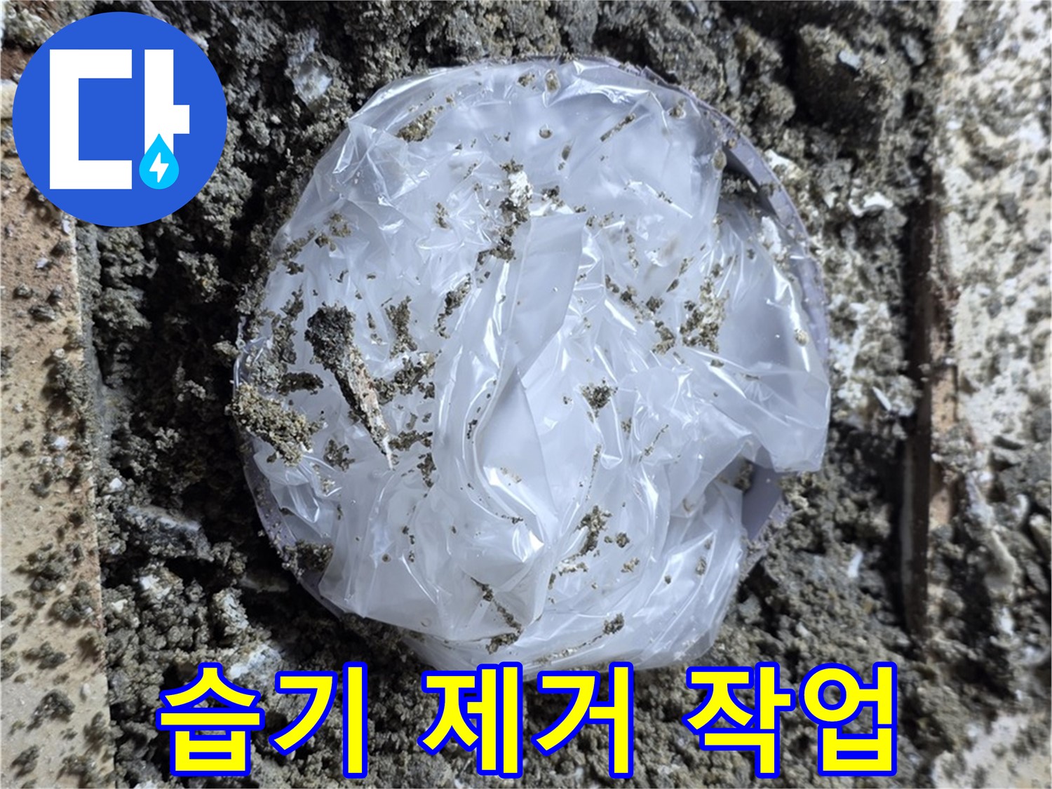 배관 주변 습기 제거 - 곰팡이 방지 필수