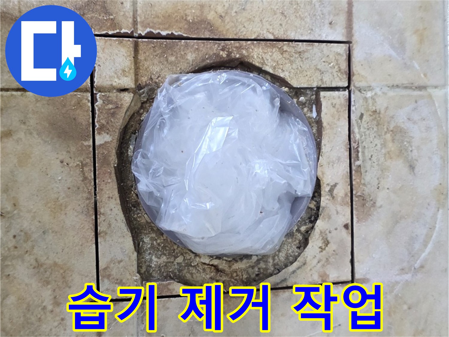 배수구 누수 습기 제거 - 곰팡이 방지