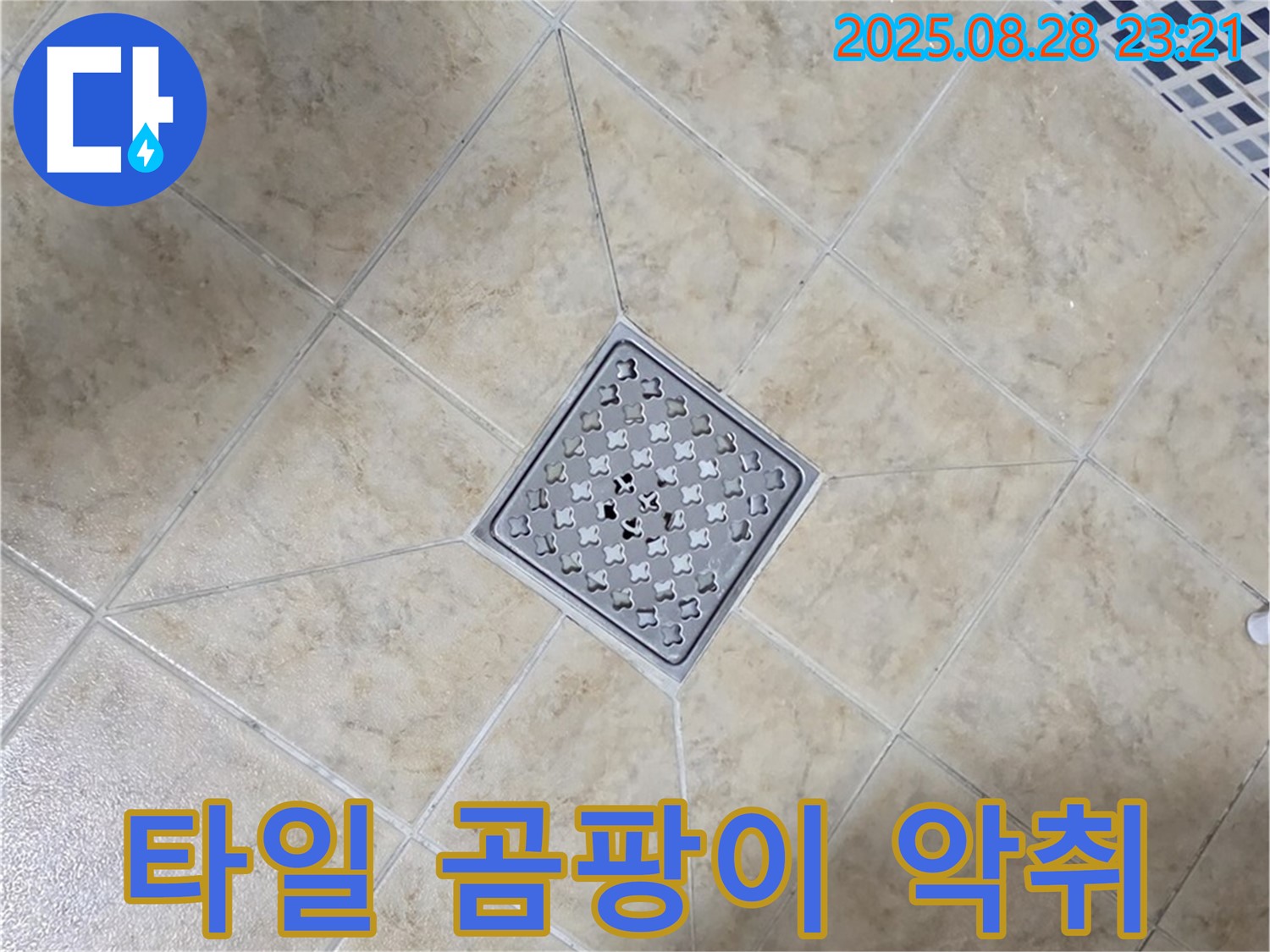 배수구 주변 곰팡이 악취 복합 - 복합 제거 및 소독