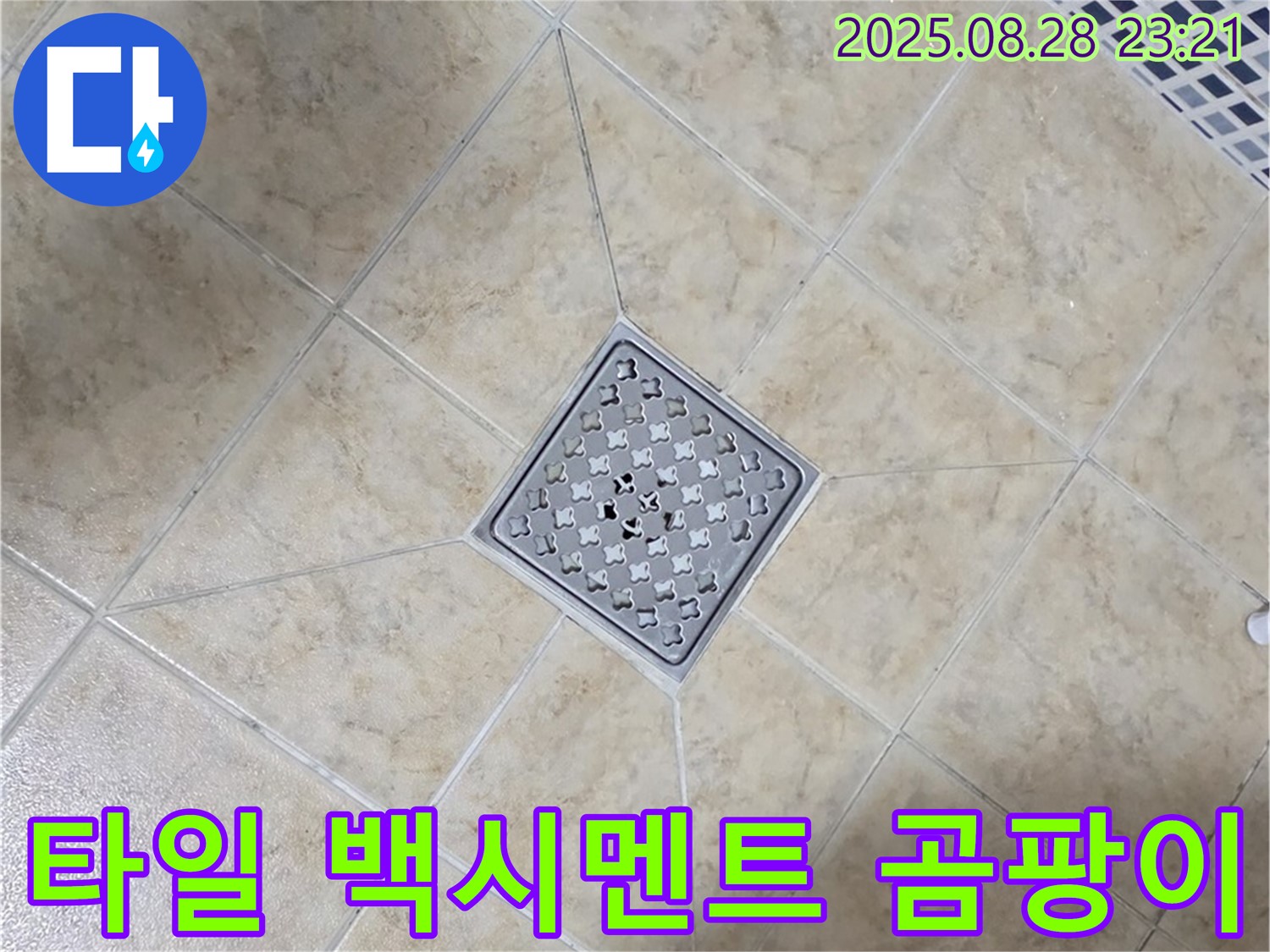 배수구 주변 백시멘트 변색 곰팡이 - 제거 및 재시공