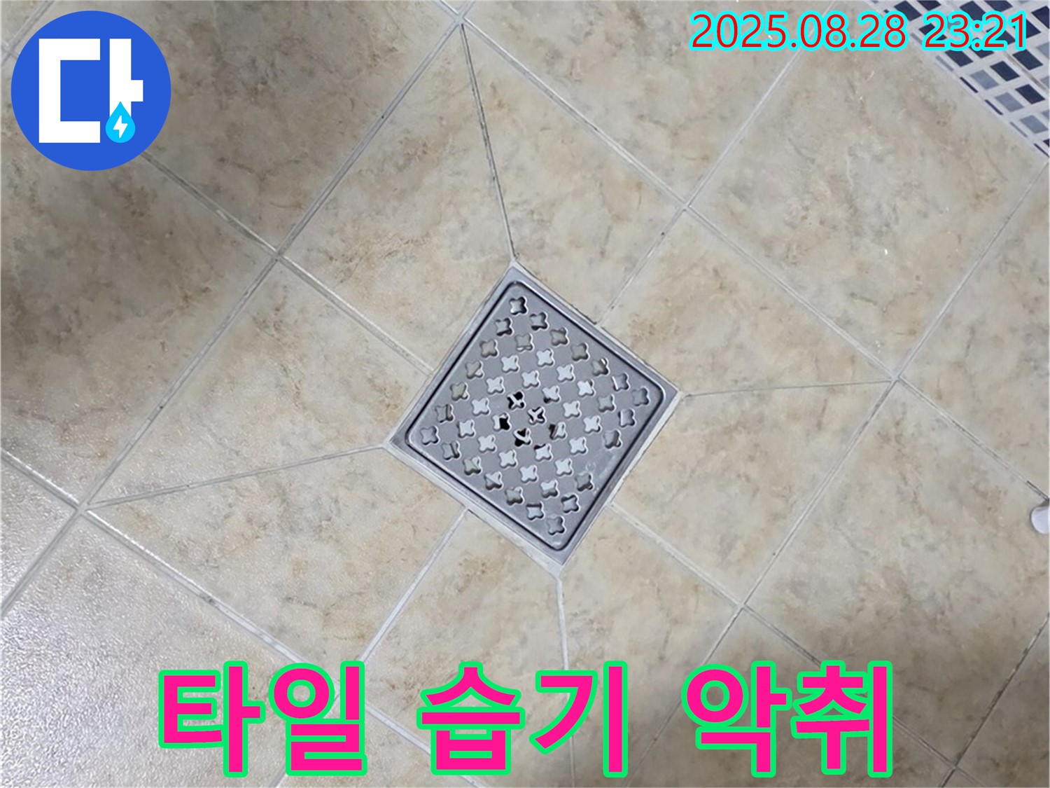 배수구 주변 습기 곰팡이 악취 - 환기 개선 및 복합 제거
