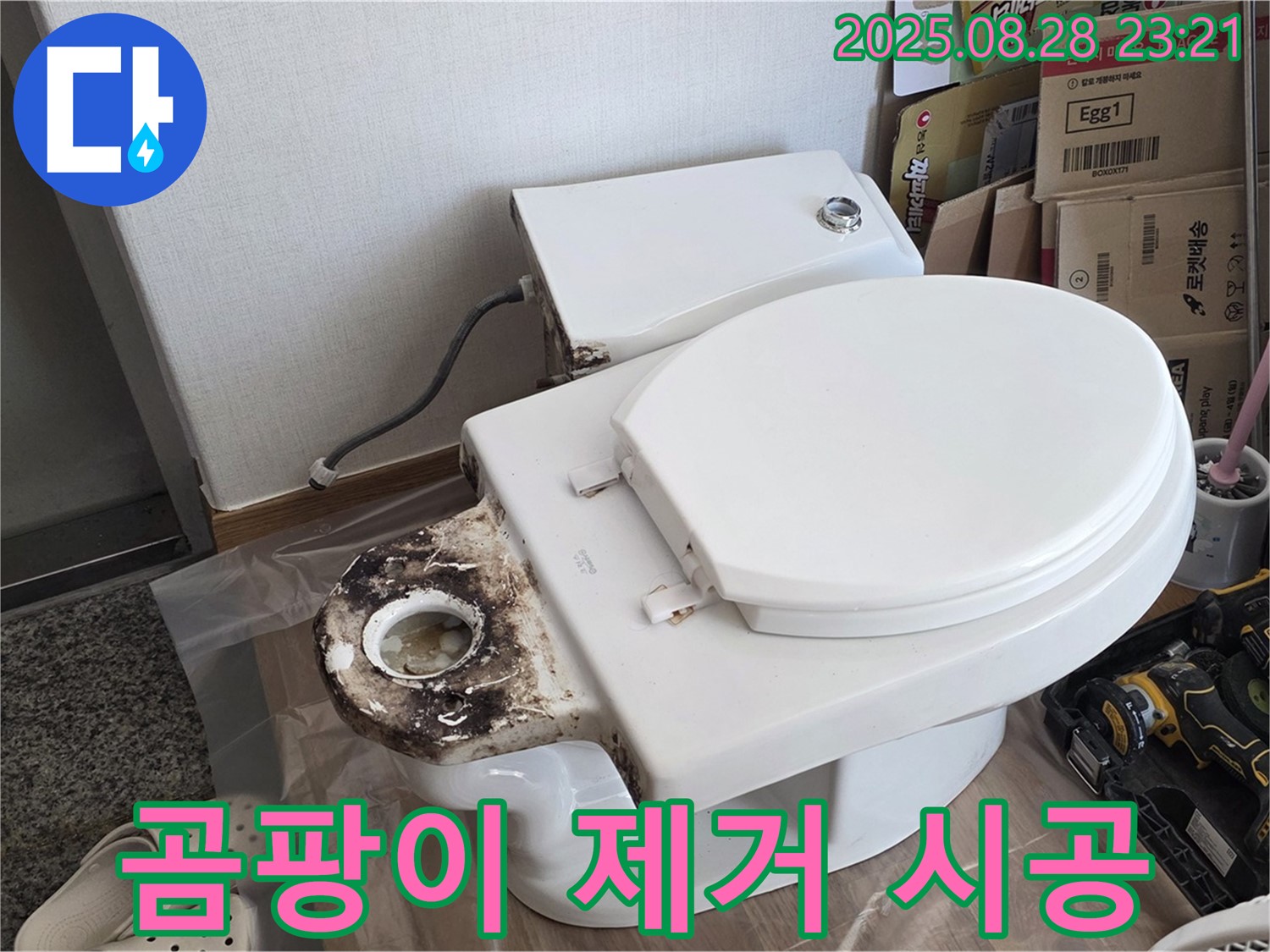 변기 누수 - 묵동 곰팡이 핀 변기 테두리 완벽 제거