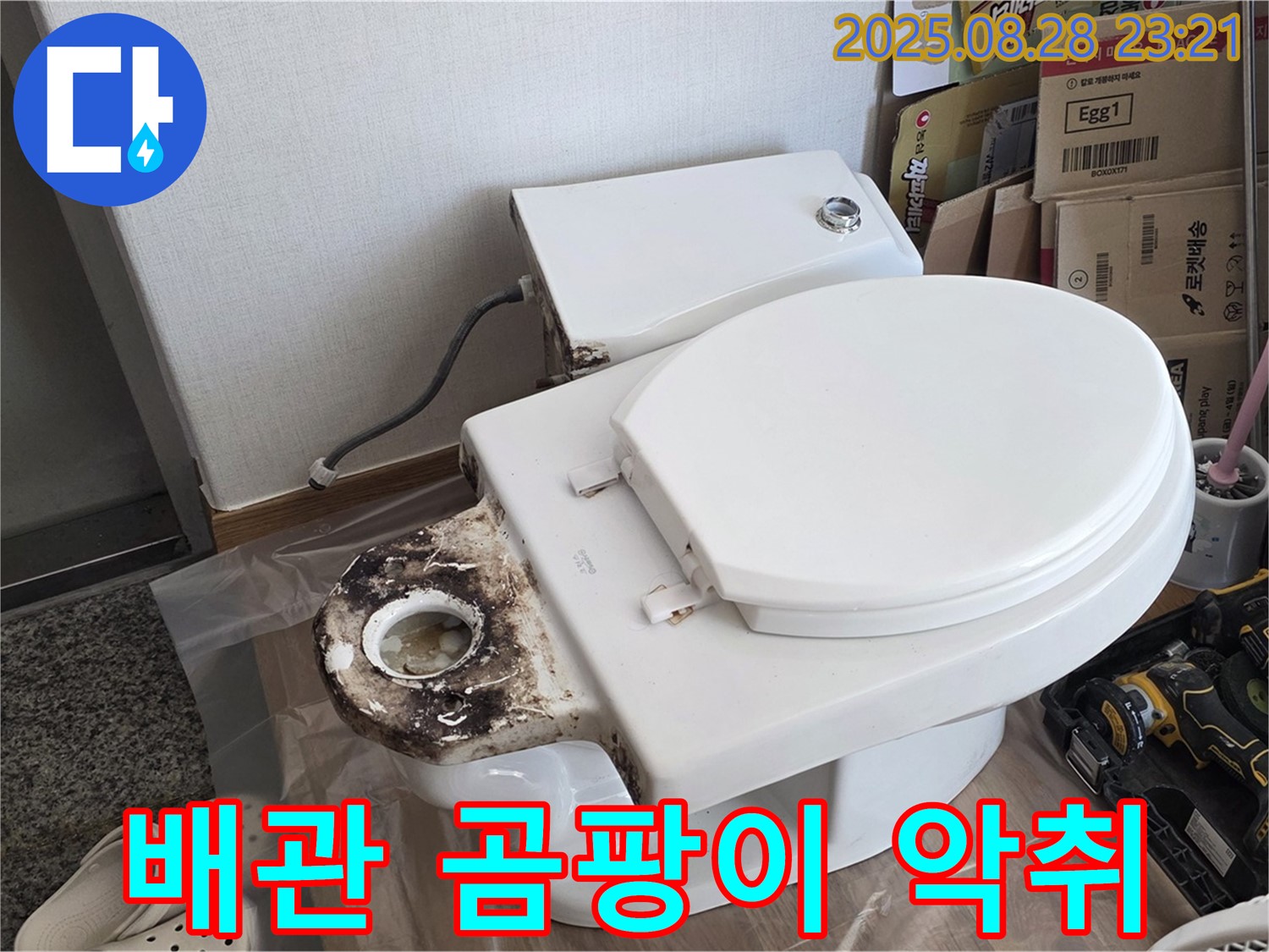 변기 누수 - 묵동 오래된 배관, 곰팡이와 악취