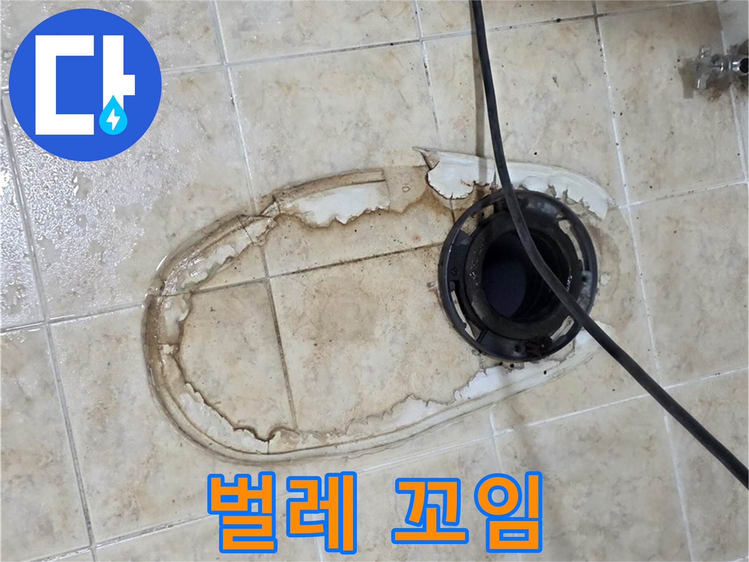 변기 누수 - 물 샌 자리에 벌레