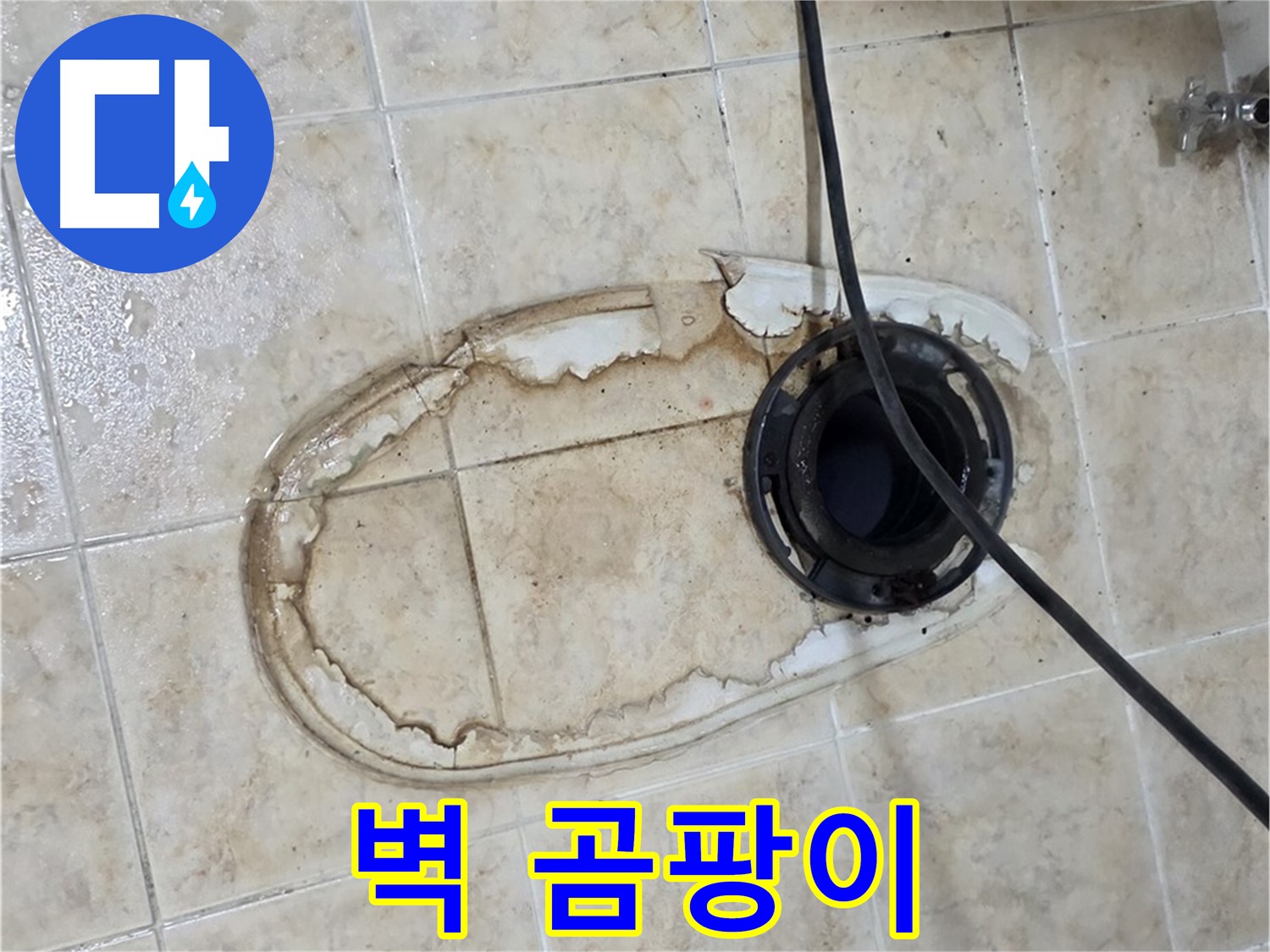 변기 누수 - 벽 곰팡이