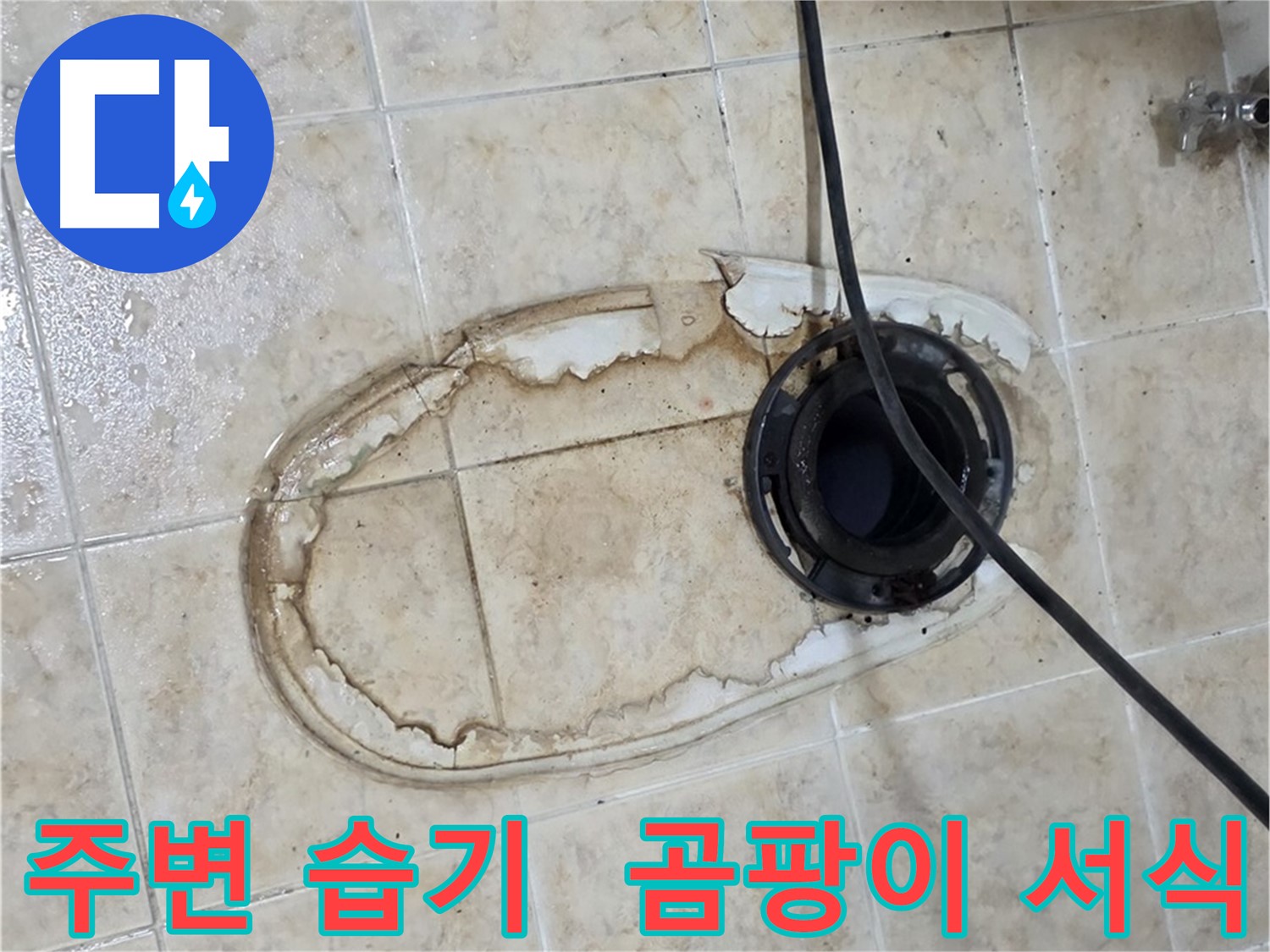 변기 누수 - 변기 주변 습기, 곰팡이 서식 환경 조성