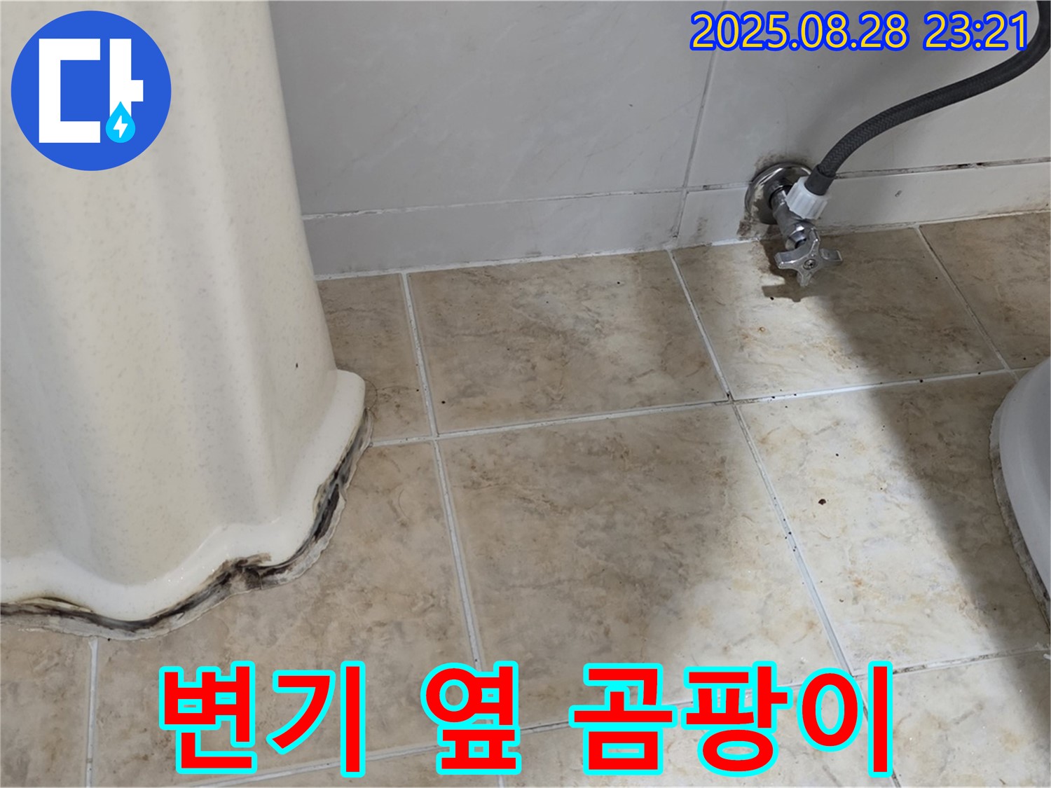 변기 옆 타일 곰팡이 - 완벽 차단! 쾌적한 욕실!