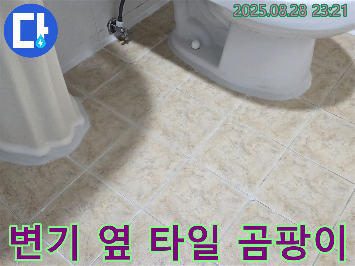 변기 옆 - 타일 틈새 - 곰팡이