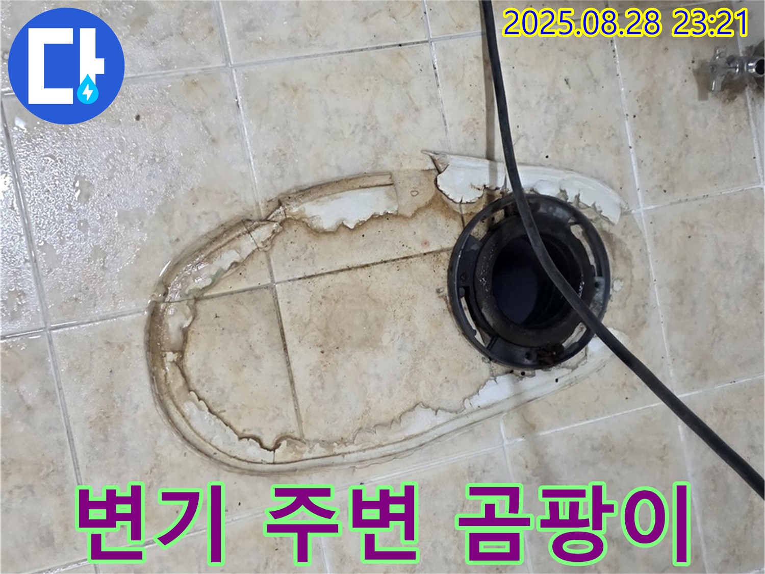 변기 주변 곰팡이 - 건강 위협